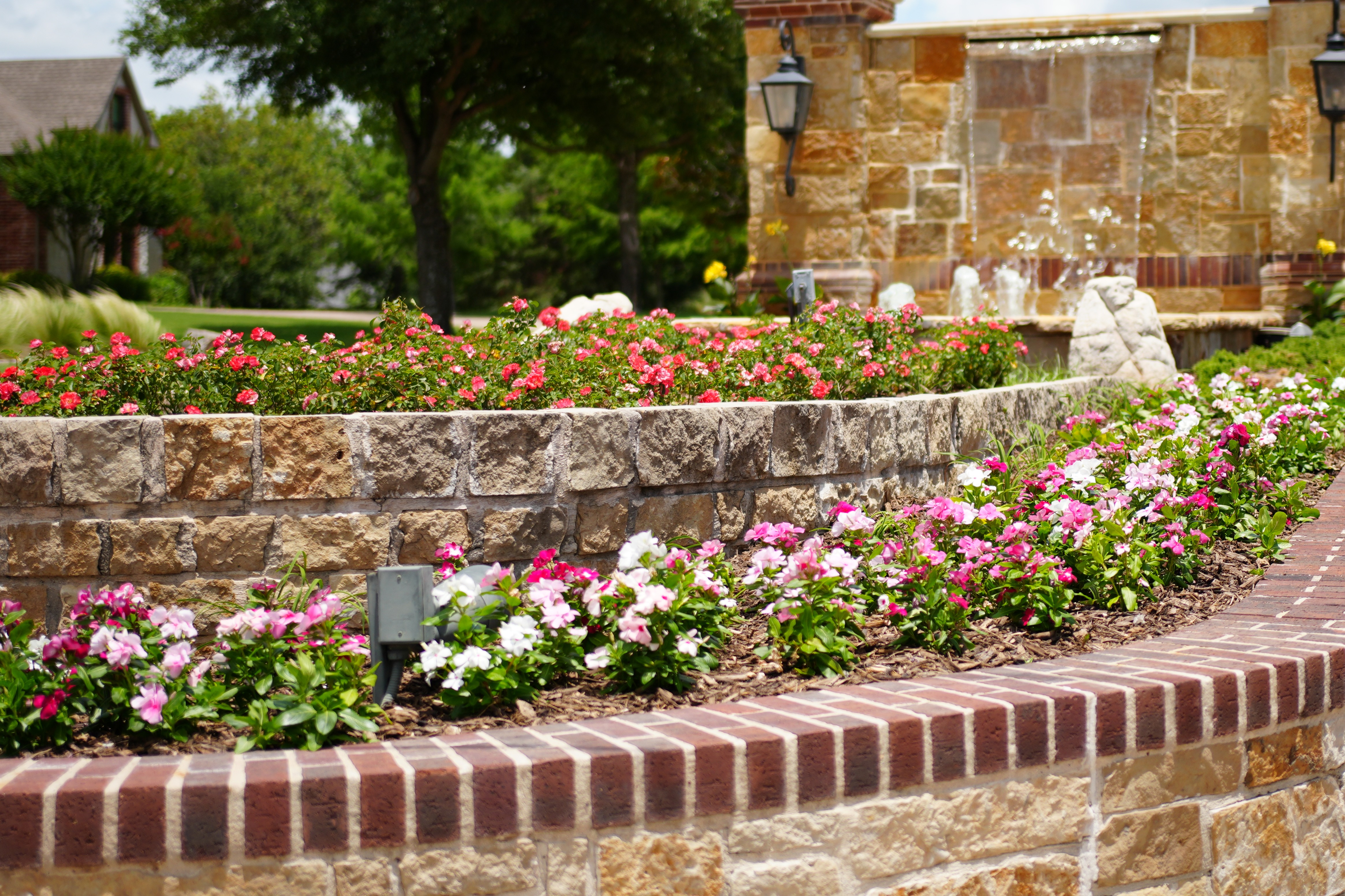 Entryway flowers in summer